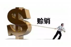 青阳青阳的要账公司在催收过程中的策略和技巧有哪些？